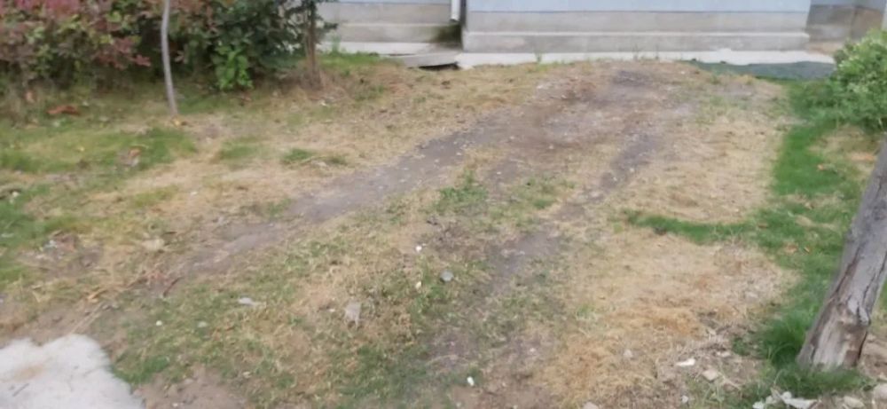 汽车烟桶堵塞问题解析