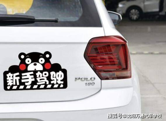 汽车索隆贴纸，时尚个性与独特魅力的完美结合