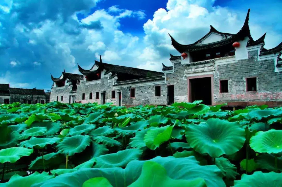 心动小镇的小汽车故事