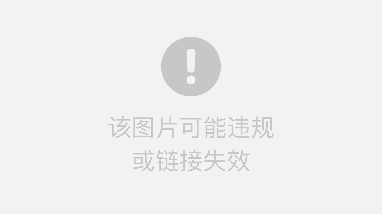 WhatsApp网页版多角色沟通适用性深度解析