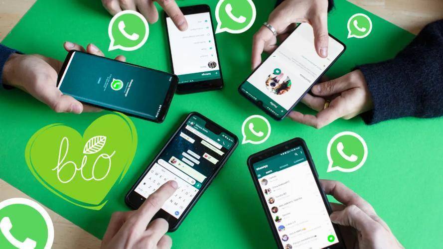 WhatsApp网页版稳定性能驱动团队高效协作新范式